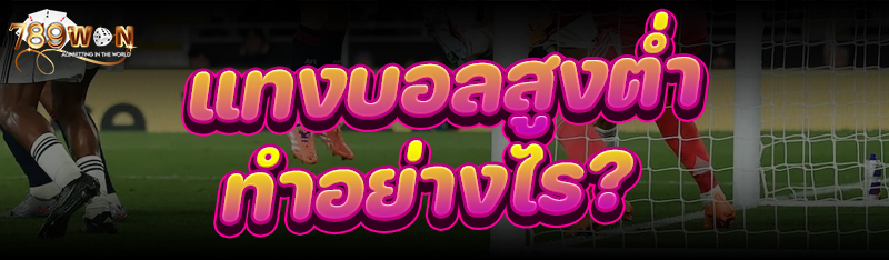 แทงบอลสูงต่ำ ทำอย่างไร?