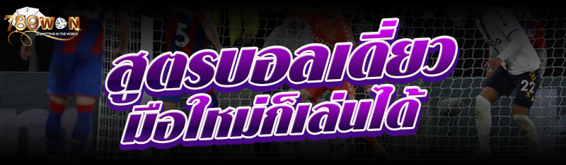สูตรบอลเดี่ยว มือใหม่ก็เล่นได้