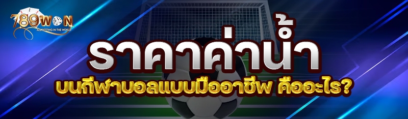 ราคาค่าน้ำบนกีฬาบอลแบบมืออาชีพ คืออะไร?